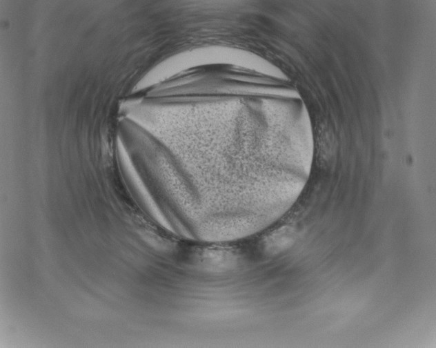 X0000067940420200605112104