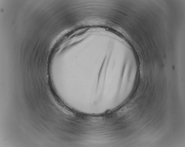 X0000067940438200605112104