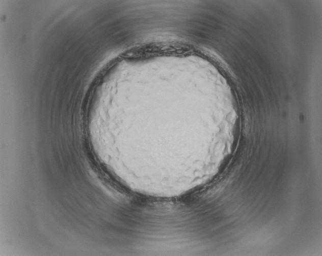 X0000067940439200605112104