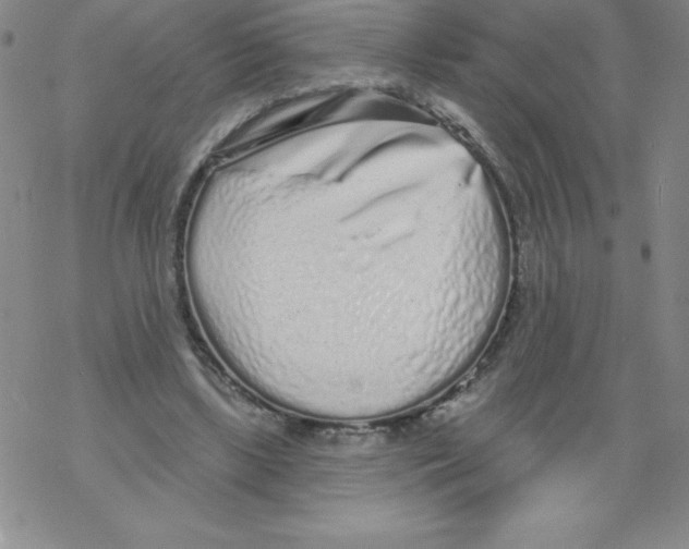 X0000067940443200605112104