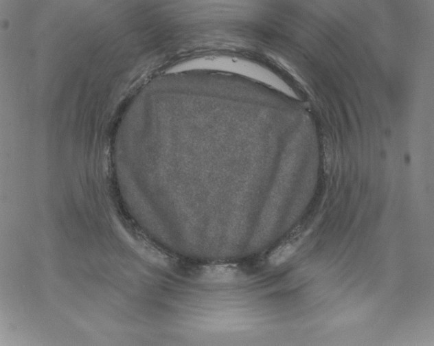 X0000067940451200605112104