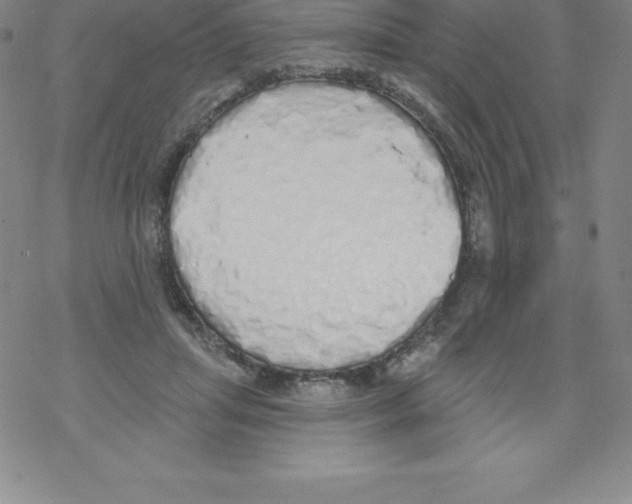X0000067940455200605112104