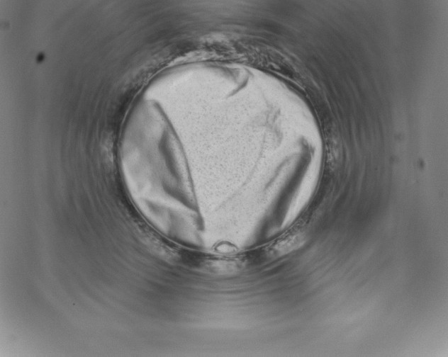 X0000067940466200605112104
