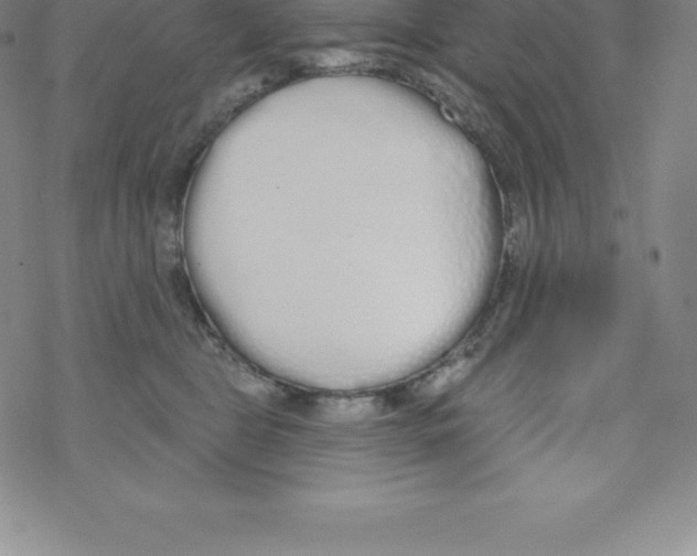 X0000067940469200605112104