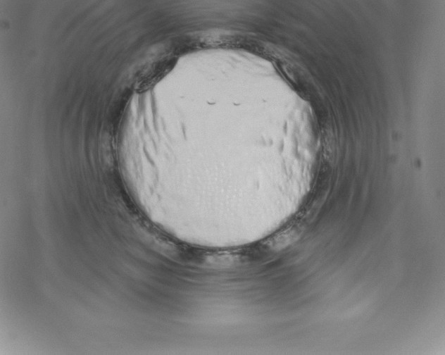 X0000067940470200605112104