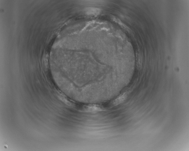 X0000067940475200605112104