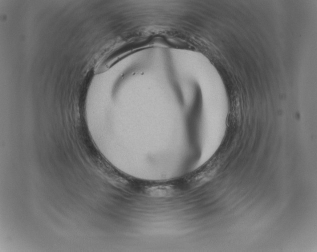 X0000067940508200605112103