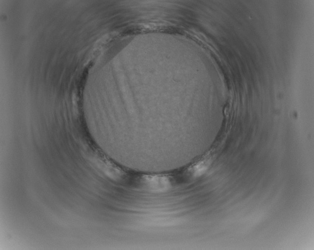X0000067940520200605112103
