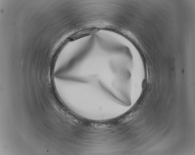 X0000067940531200605112102