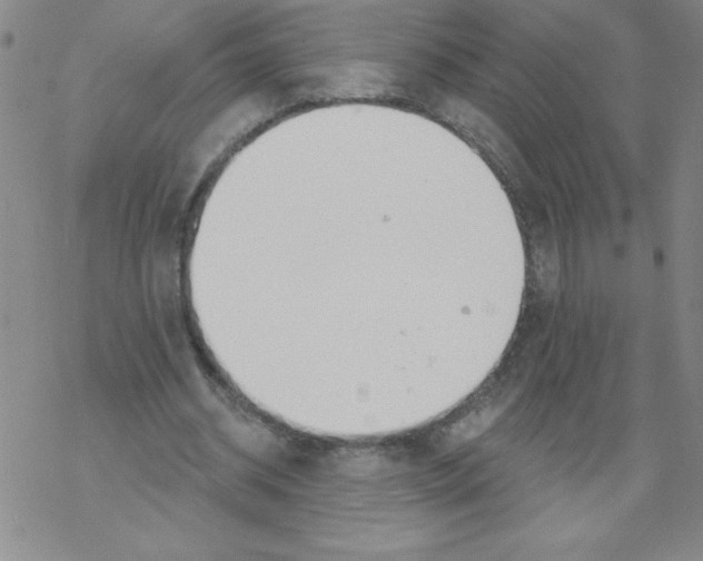 X0000067940534200605112102