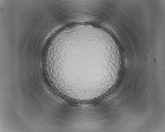 X0000067940539200605112102