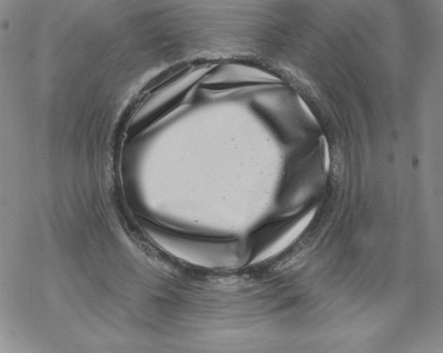 X0000067940540200605112102