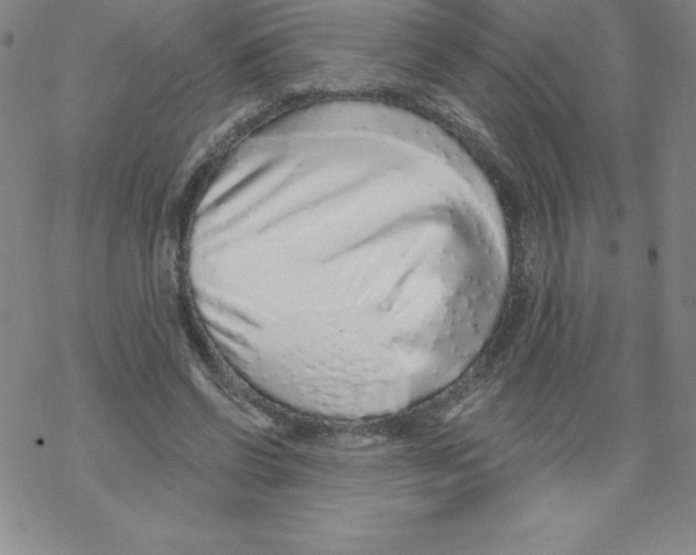 X0000067940542200605112102