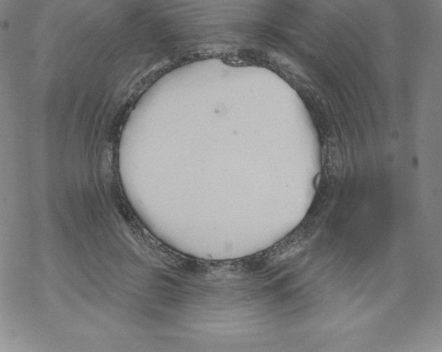 X0000067940550200605112102