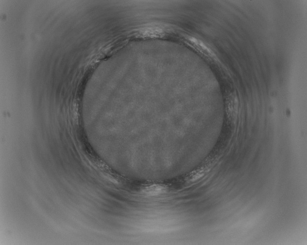 X0000067940551200605112102