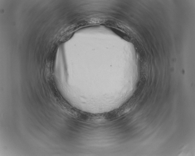 X0000067940554200605112102