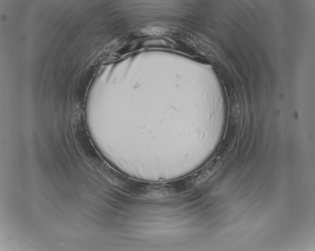 X0000067940555200605112102