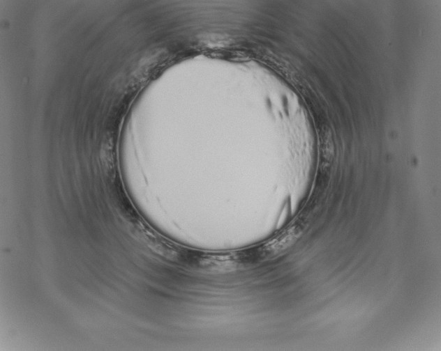 X0000067940559200605112102