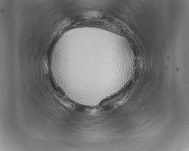 X0000067940564200605112102
