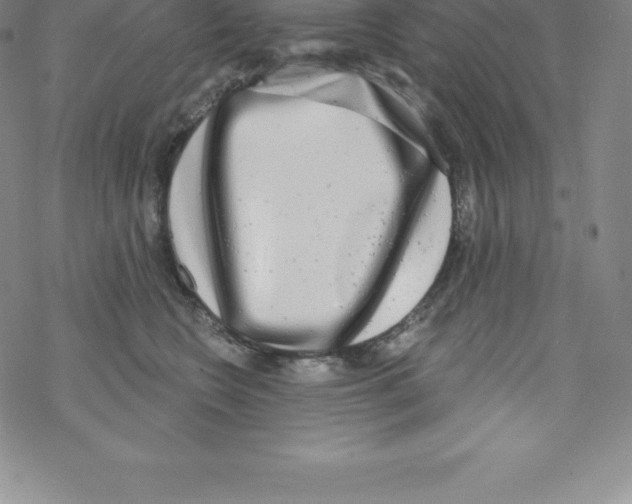 X0000067940566200605112102