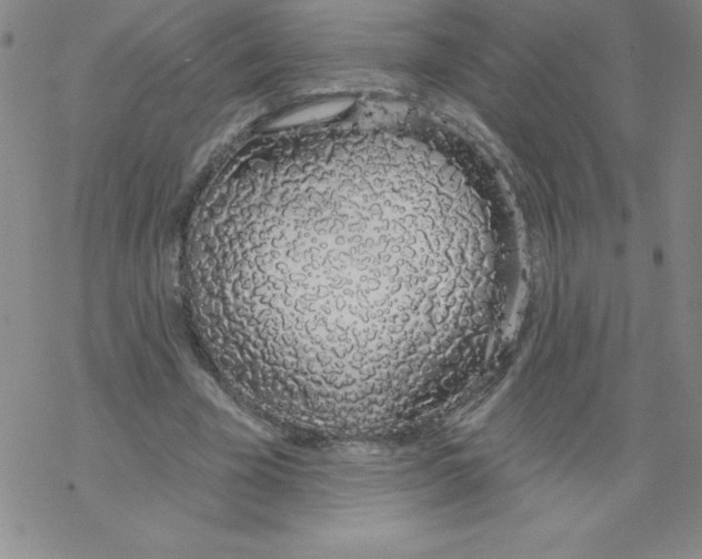 X0000067940585200605112102