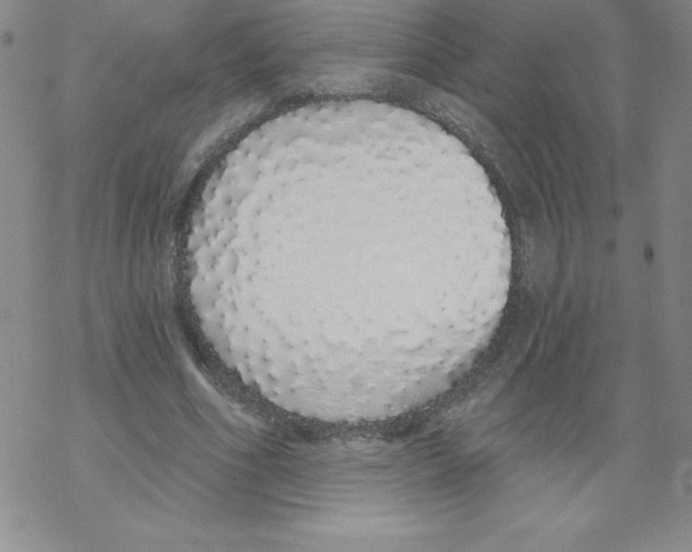 X0000067940586200605112102