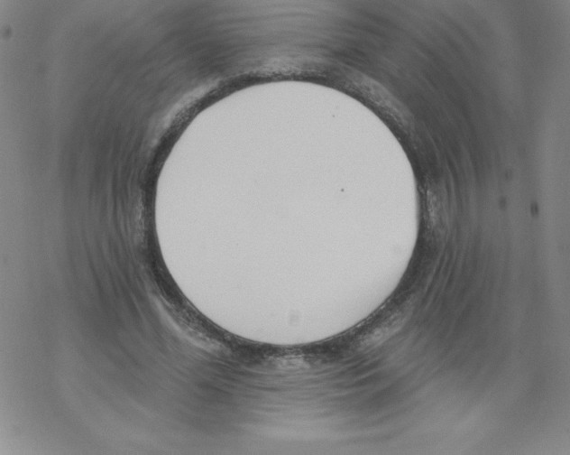 X0000067940588200605112102