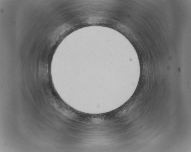 X0000067940592200605112102