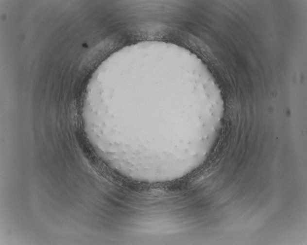 X0000067940594200605112102