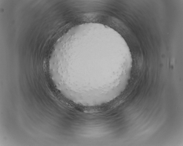 X0000067940602200605112101