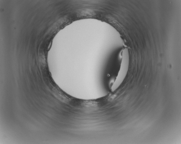X0000067940617200605112101