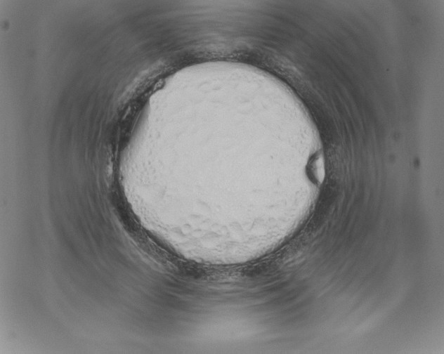X0000067940642200605112100