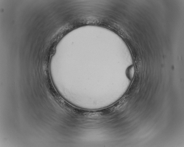 X0000067940643200605112101