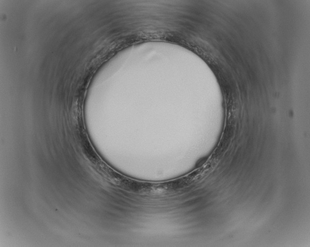X0000067940647200605112101