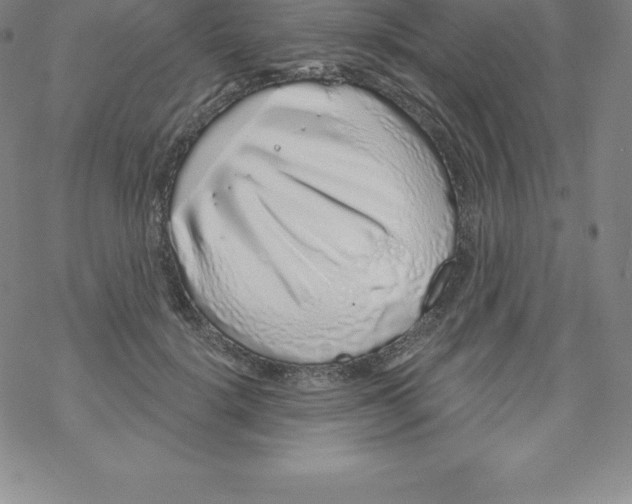 X0000067940652200605112101