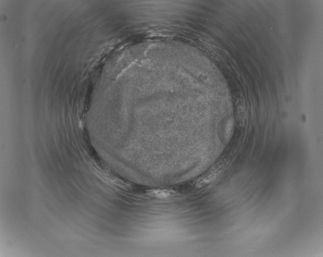 X0000067940654200605112101