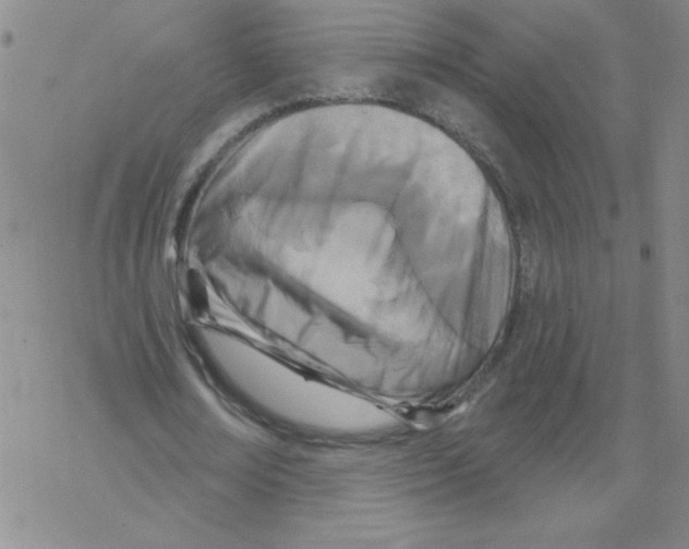 X0000067940674200605112100