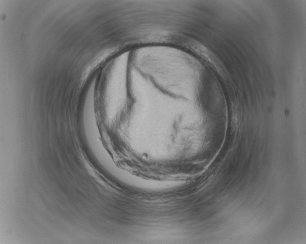 X0000067940677200605112100