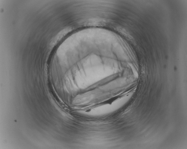 X0000067940678200605112100