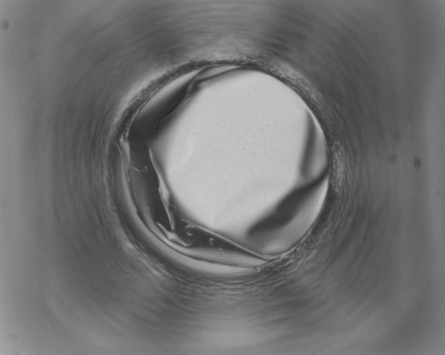X0000067940680200605112100