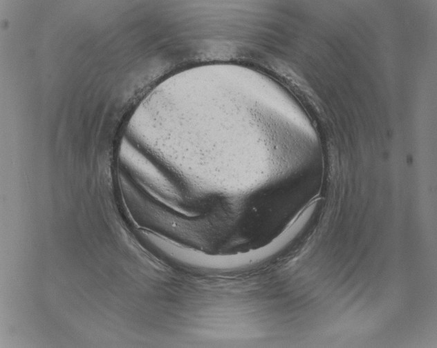 X0000067940681200605112100