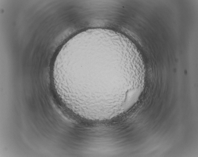X0000067940682200605112100