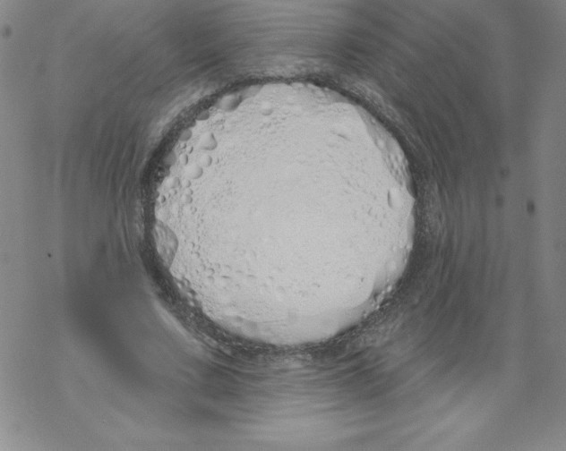 X0000067940683200605112100