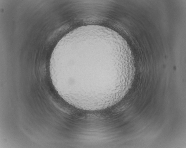 X0000067940690200605112100