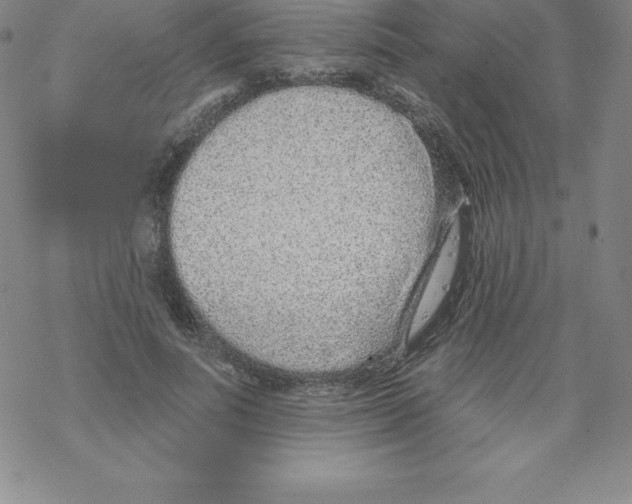 X0000067940691200605112100