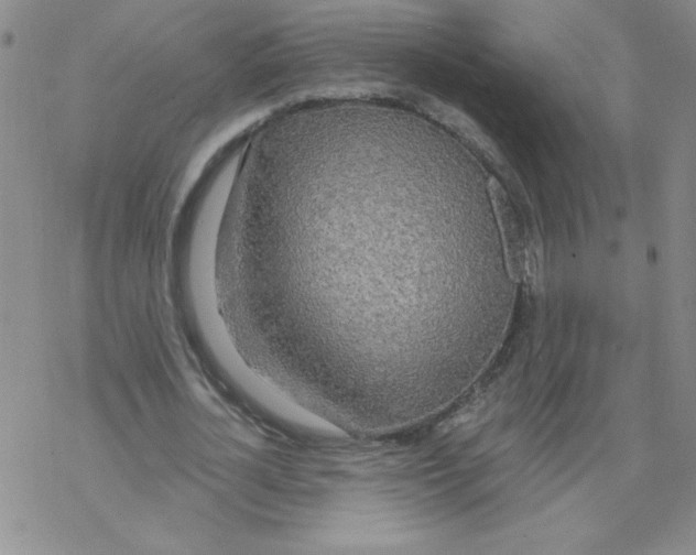 X0000067940724200605112059