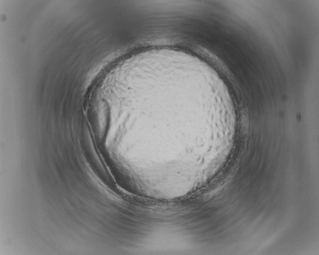 X0000067940725200605112059