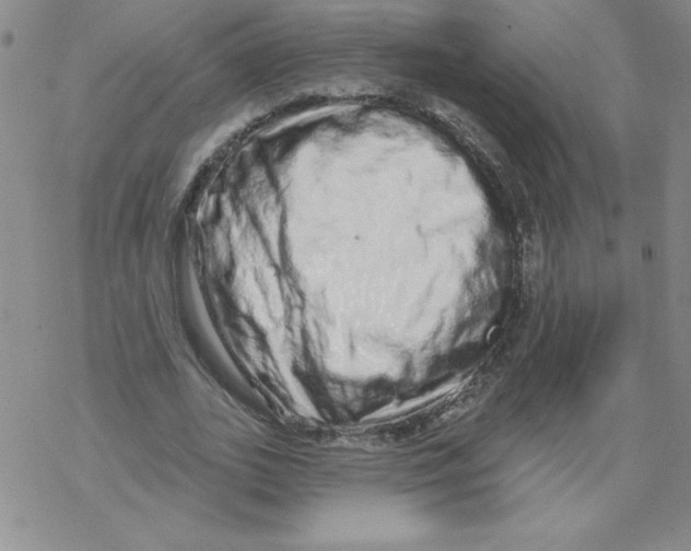 X0000067940727200605112059