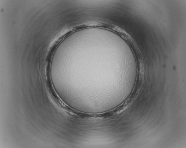X0000067940730200605112059