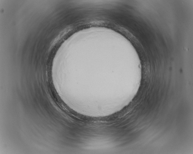 X0000067940734200605112059